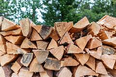 В Британии спрогнозировали рост спроса на дрова из-за «тяжелой зимы»